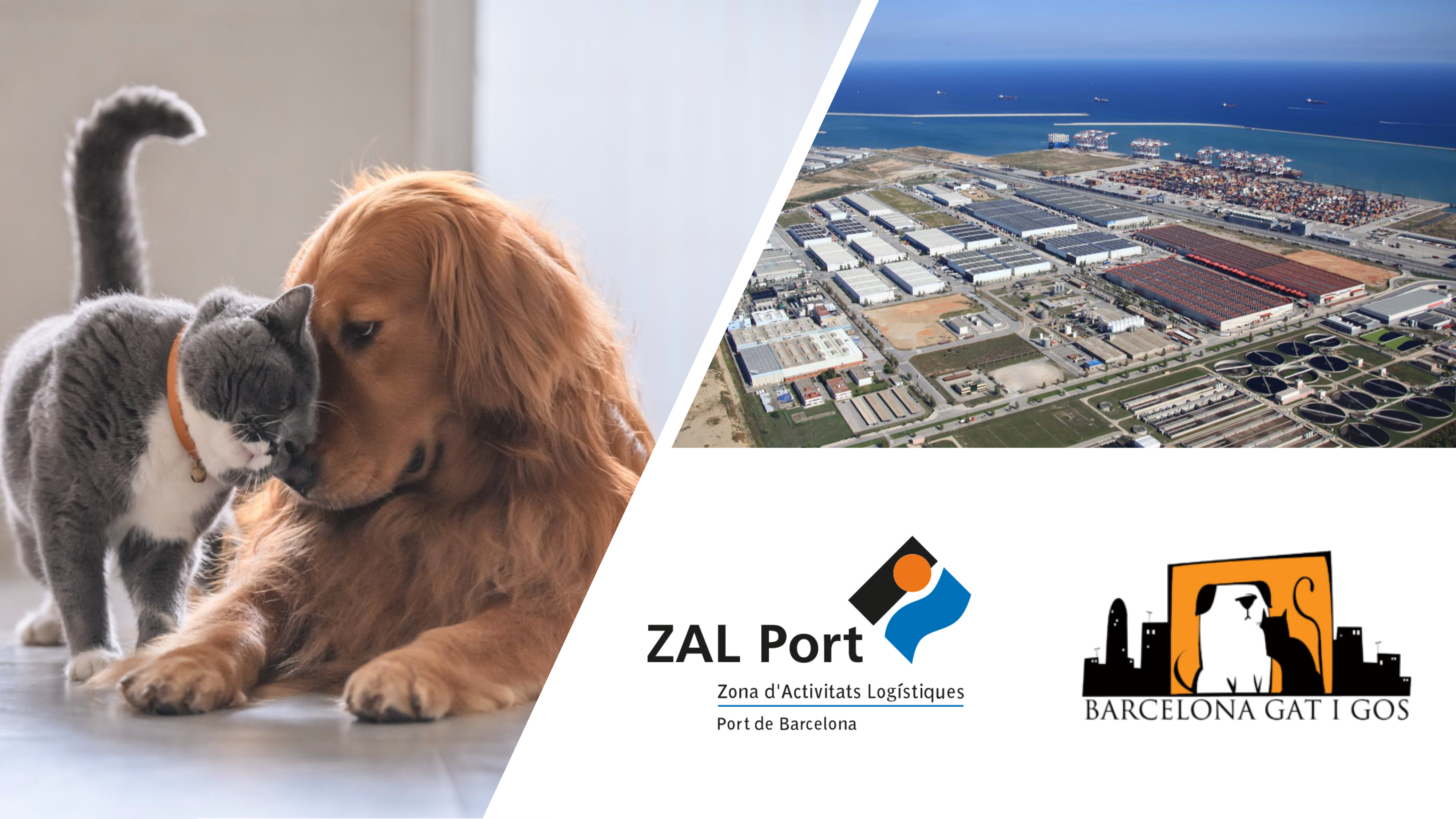 You are currently viewing Nou servei pels drets dels animals a la ZAL Port