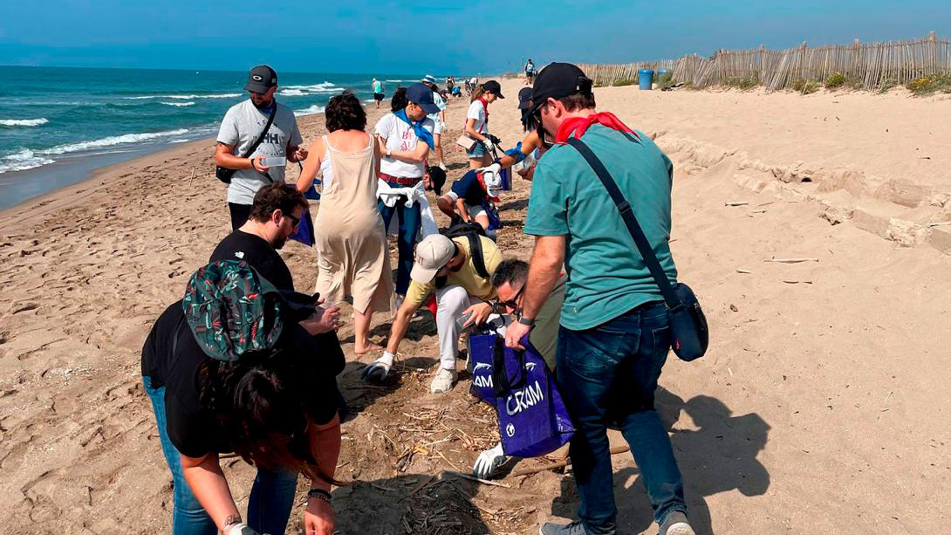 Més informació sobre l'article La Comunitat Portuària de Barcelona reafirma el seu compromís amb el medi ambient amb una acció de conservació de la biodiversitat marina
